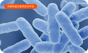 微生态研究平台